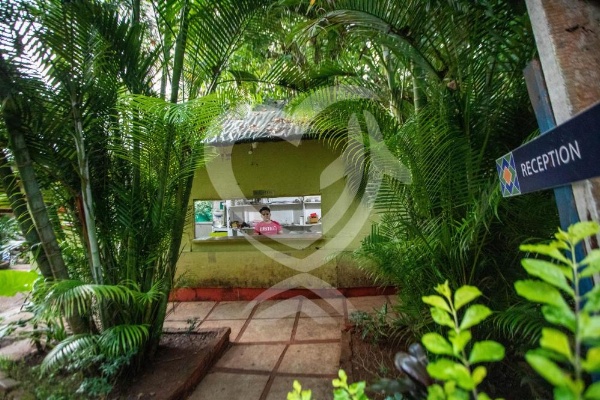 Zulu Land cottages - near Curlies beach shack and shiva valley - Anjuna beach image 33